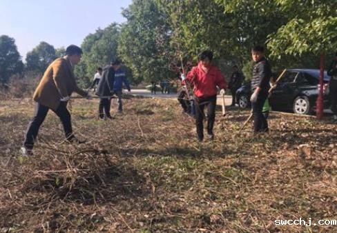 艺术传媒系开展“美化校园”迎新年活动